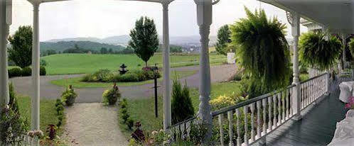 Harmony Hill Bed & Breakfast Sparta Bagian luar foto